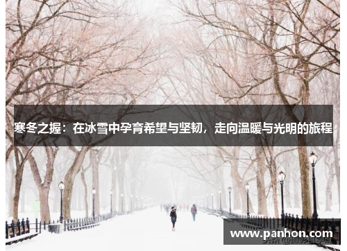 寒冬之握：在冰雪中孕育希望与坚韧，走向温暖与光明的旅程