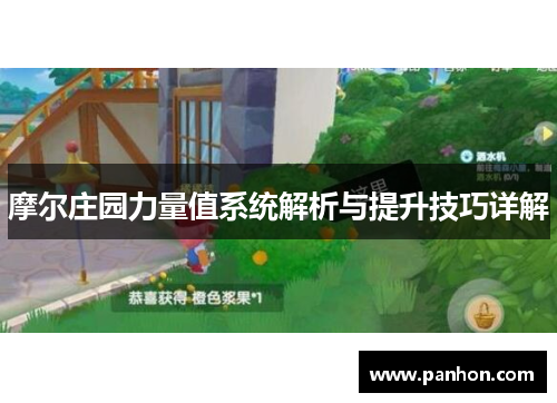 摩尔庄园力量值系统解析与提升技巧详解
