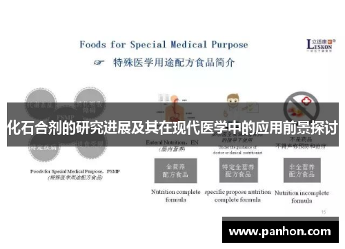 化石合剂的研究进展及其在现代医学中的应用前景探讨